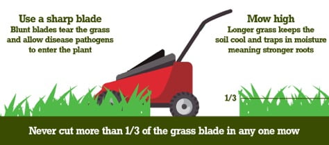 Mowing tips