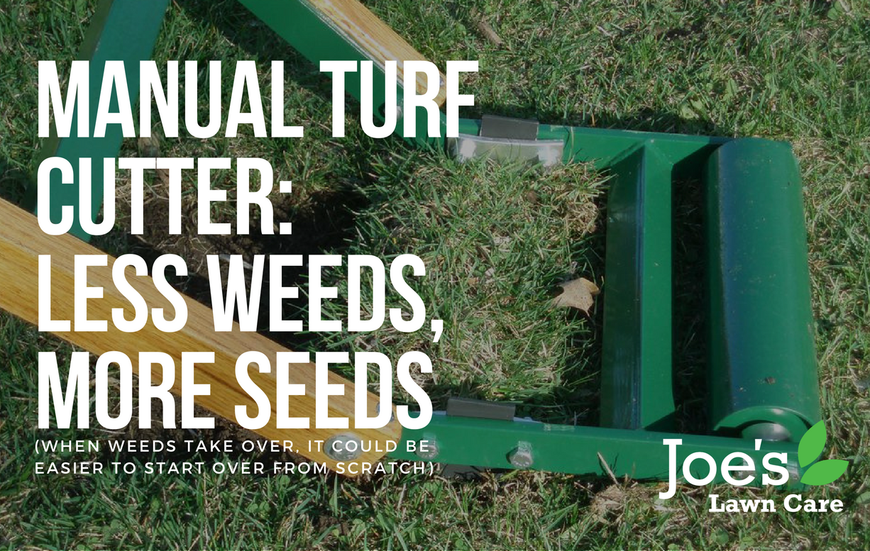 Manual Turf Cutter