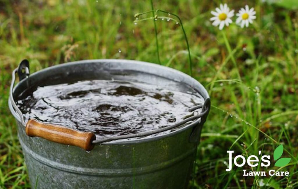 Watering your Lawn - Joes Lawn Care - blog post