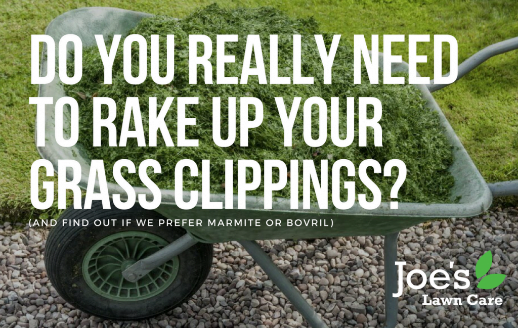 Do You Really Need To Rake Up Your Grass Clippings? Joe's Lawn Care