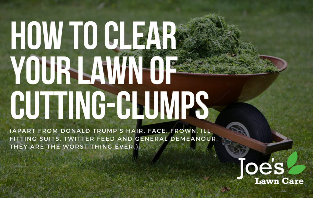 How To Clear Your Lawn of CuttingClumps Joe's Lawn Care