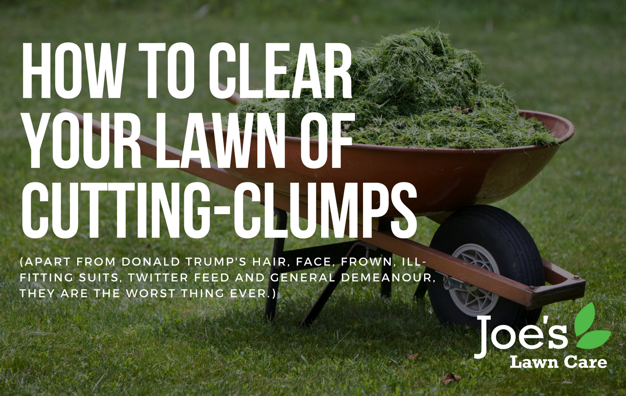 How To Clear Your Lawn of CuttingClumps Joe's Lawn Care