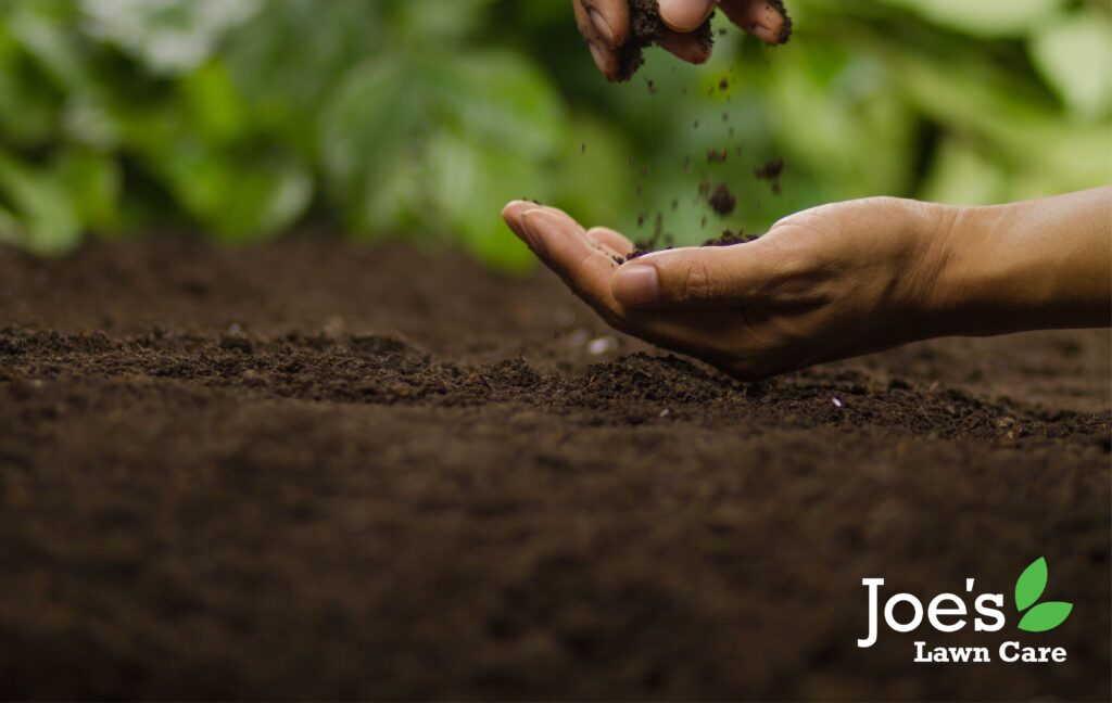 This Soil Treatment Will Leave Your Lawn Looking Sub-Lime