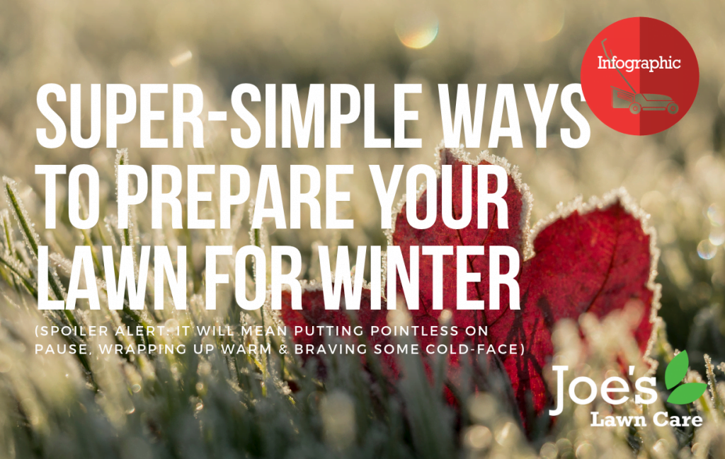 Super-Simple Ways To Prepare Your Lawn For Winter