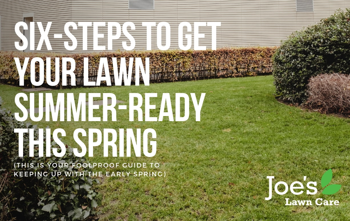 Six-Steps To Get Your Lawn Summer-Ready This Spring - Joe's Lawn Care