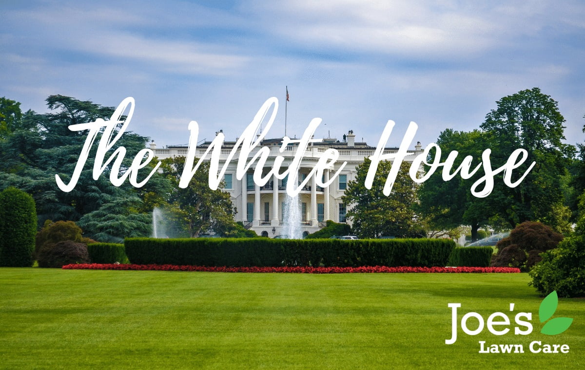 The White House - World's Most Famous Lawns