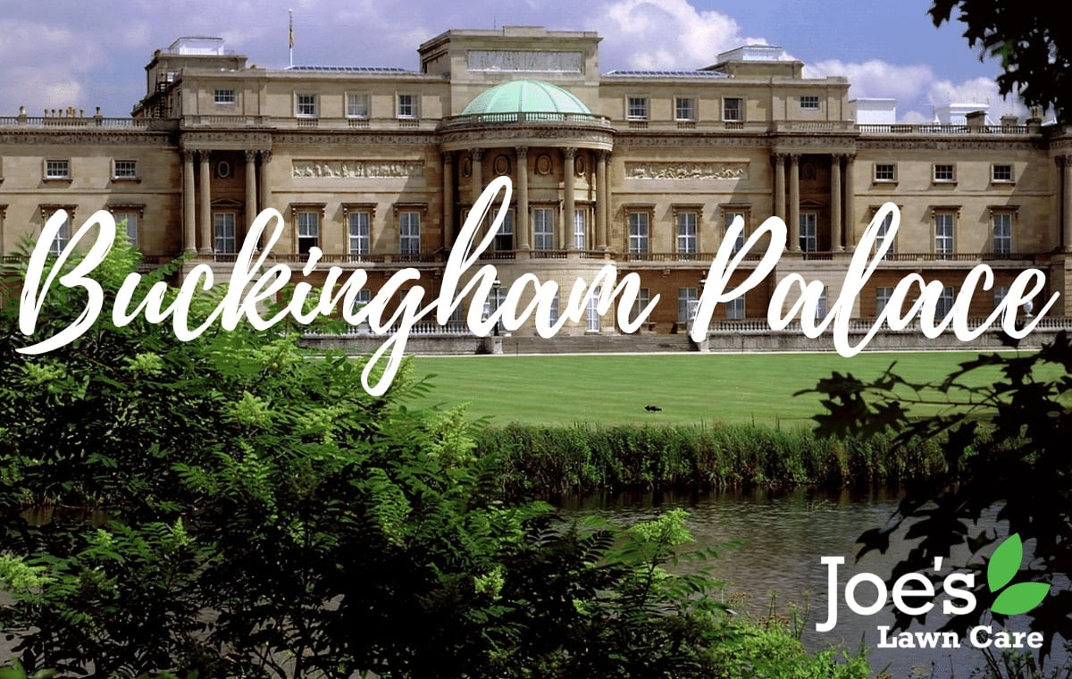 Buckingham Palace - World's Most Famous Lawns