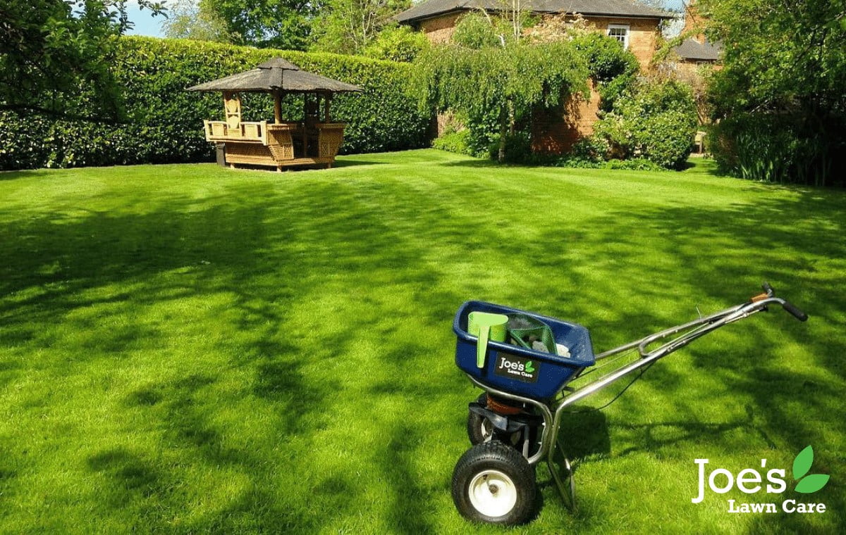 Urgent Garden Tips, Because Summer Is Better With A Sexy Lawn - seeding