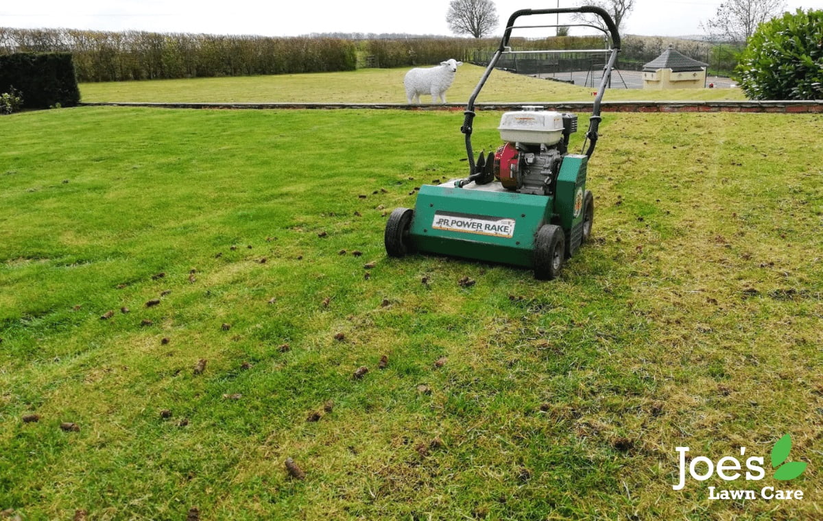 aerating our lawn