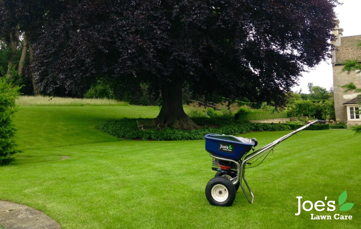 Joe's Lawn Care fertilising lawns