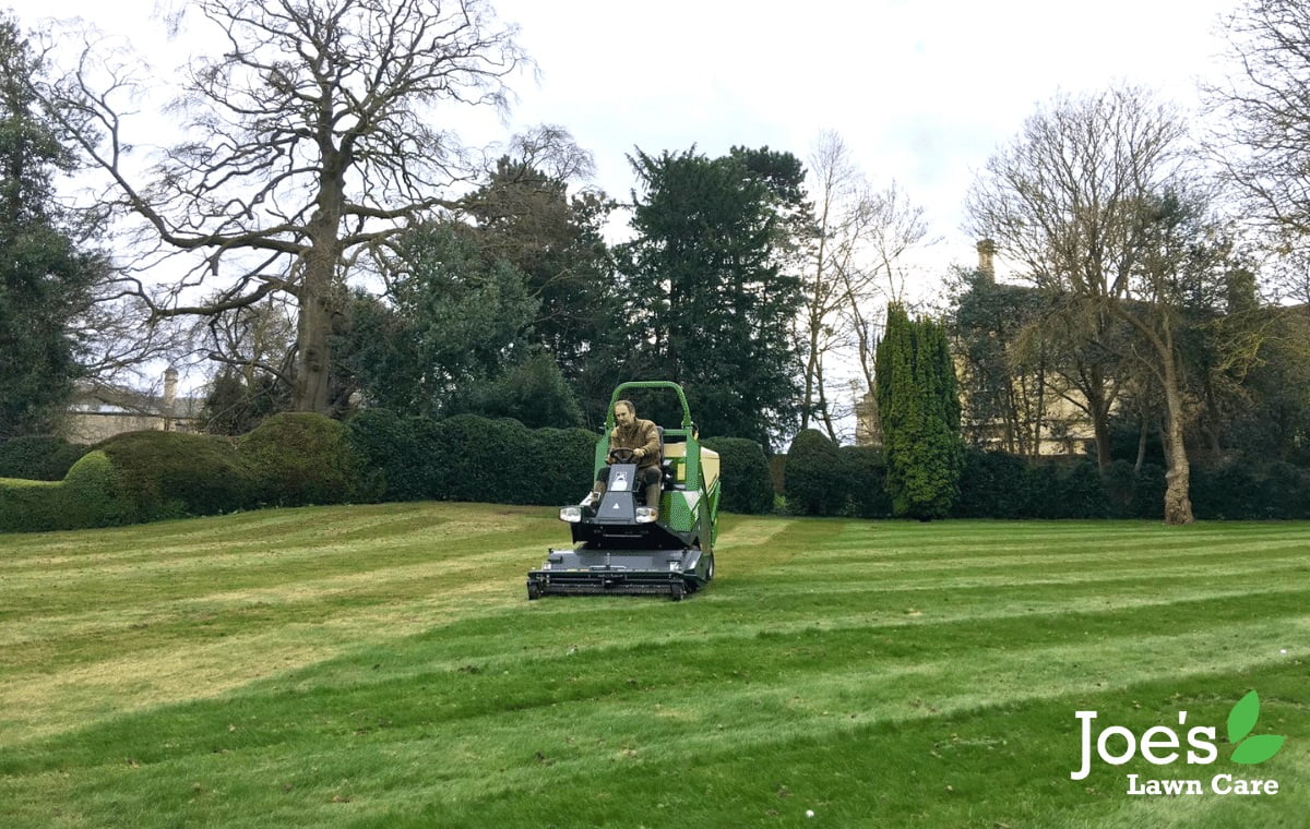 Joe's Lawn Care profihopper - scarification