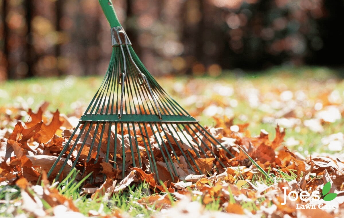 raking the leaves