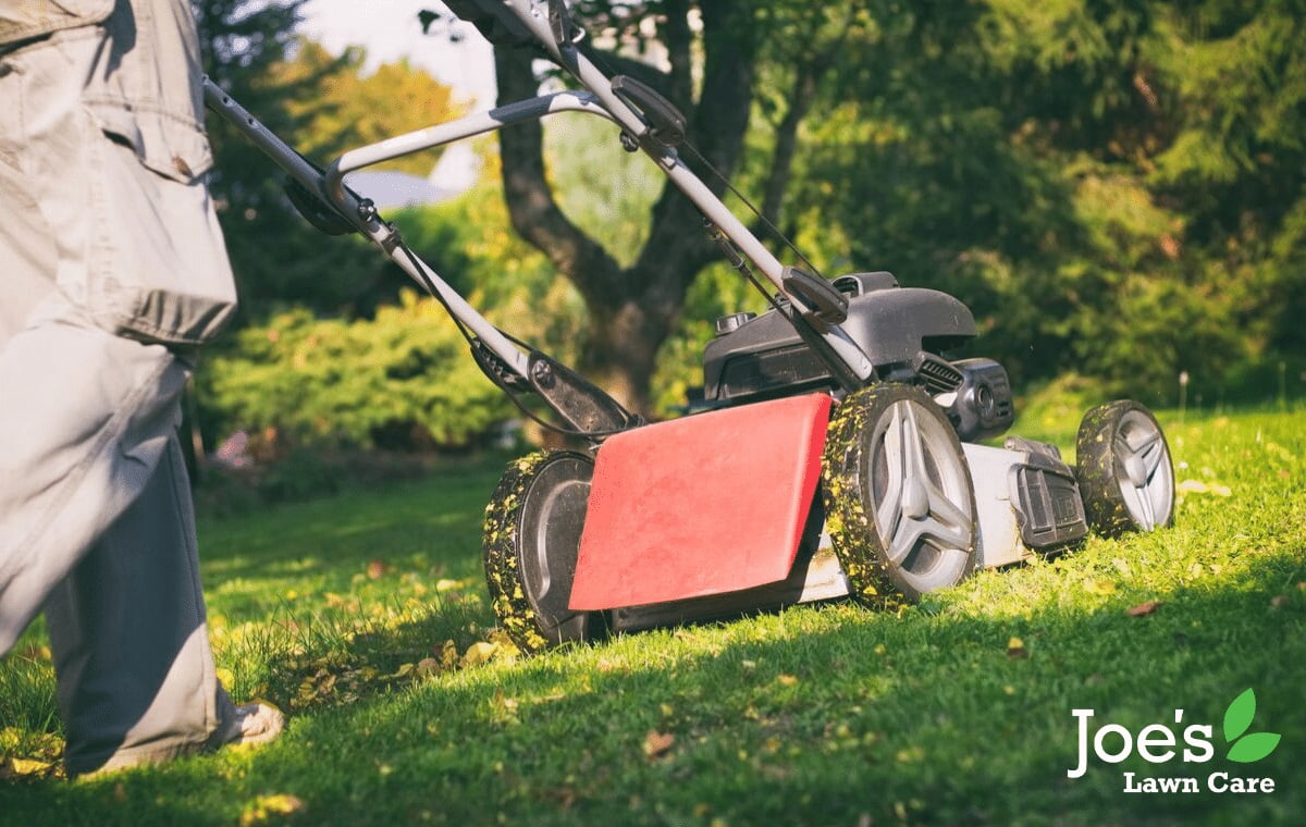 Mow the lawn - but not when wet