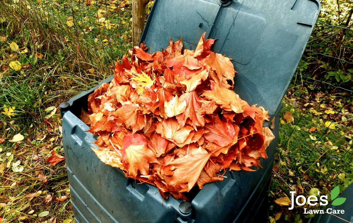 composting fallen leaves