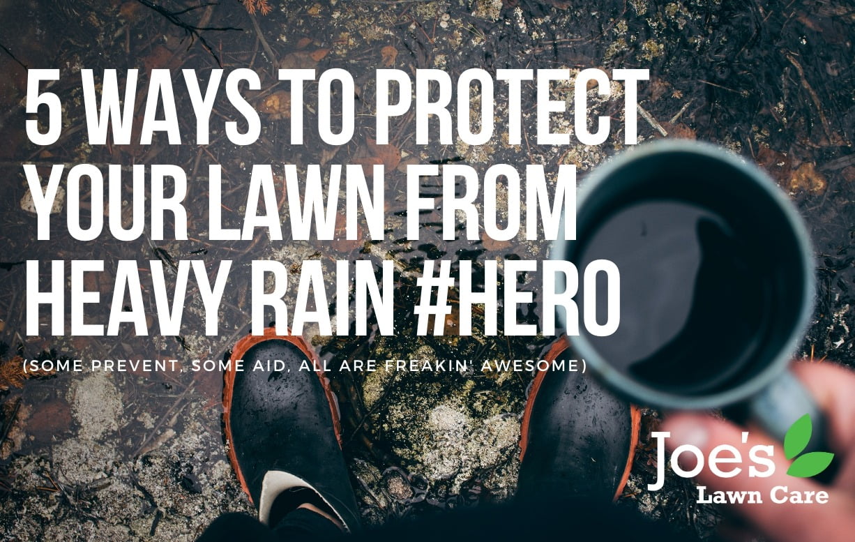 5 ways to protect your lawn from heavy rain