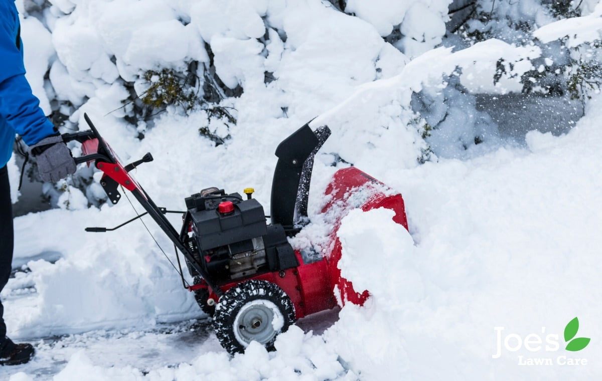 Snow mold lurking under the duvet of snow