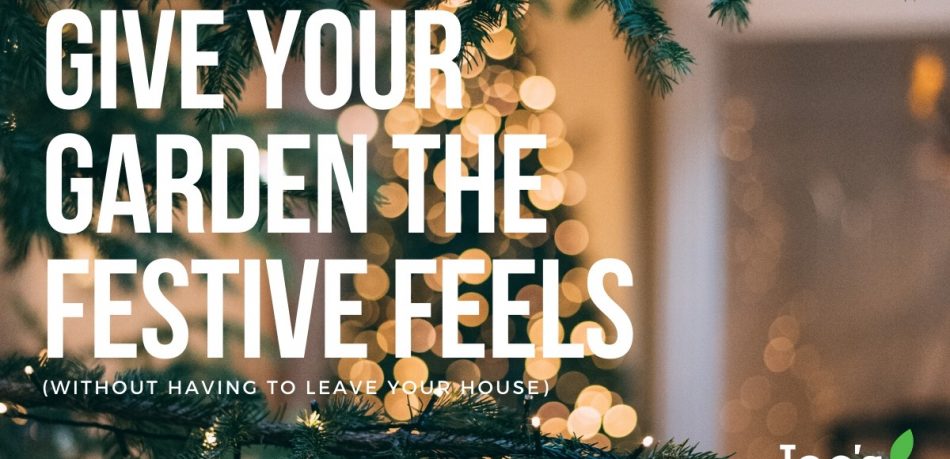 give your garden the festive feels