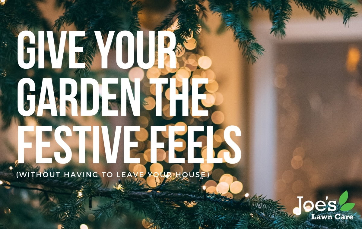 give your garden the festive feels