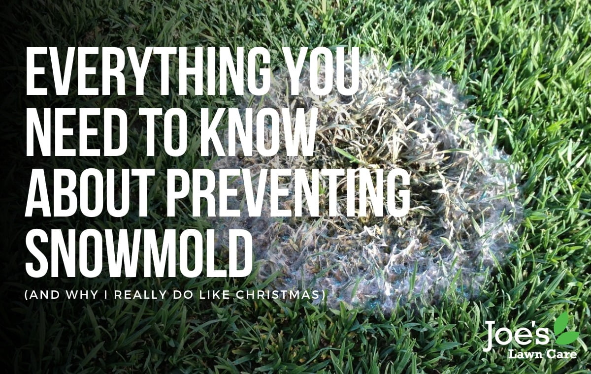 preventing snowmold