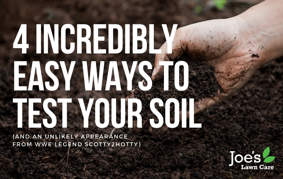 4 incredibly easy ways to test your soil