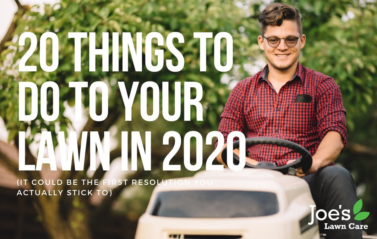 20 things to do to your lawn in 2020