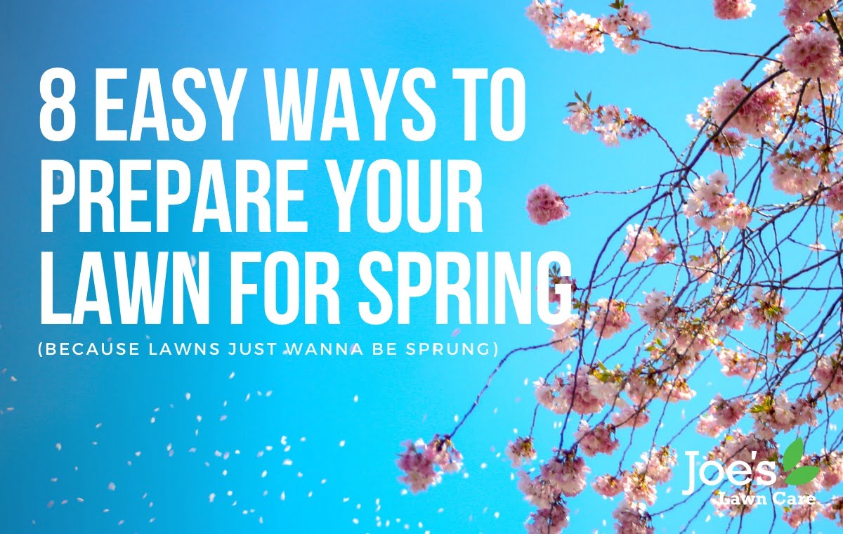 8 ways to prepare your lawn for spring