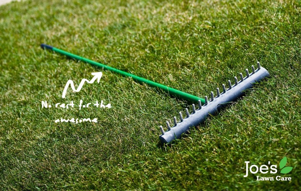 8 Easy Ways To Prepare Your Lawn For Spring Joe's Lawn Care