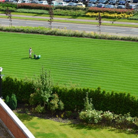 Man Mowing Lawn From A Far