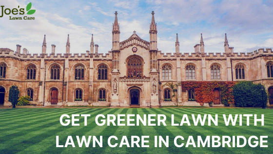 GET GREENER LAWN WITH LAWN CARE IN CAMBRIDGE