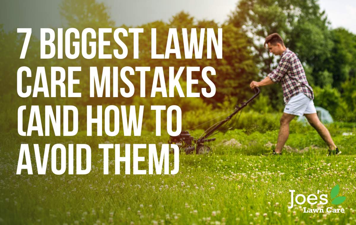 Biggest lawn mistakes and how to avoid them