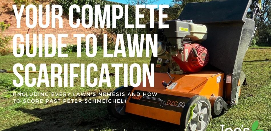 your complete guide to scarification