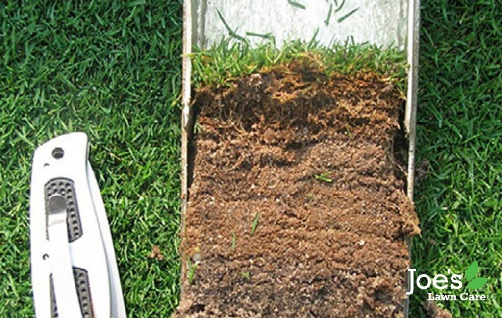 Your Complete Guide To Lawn Scarification - joes