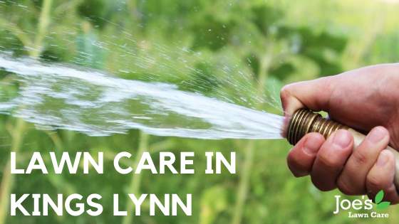 LAWN CARE IN KINGS LYNN