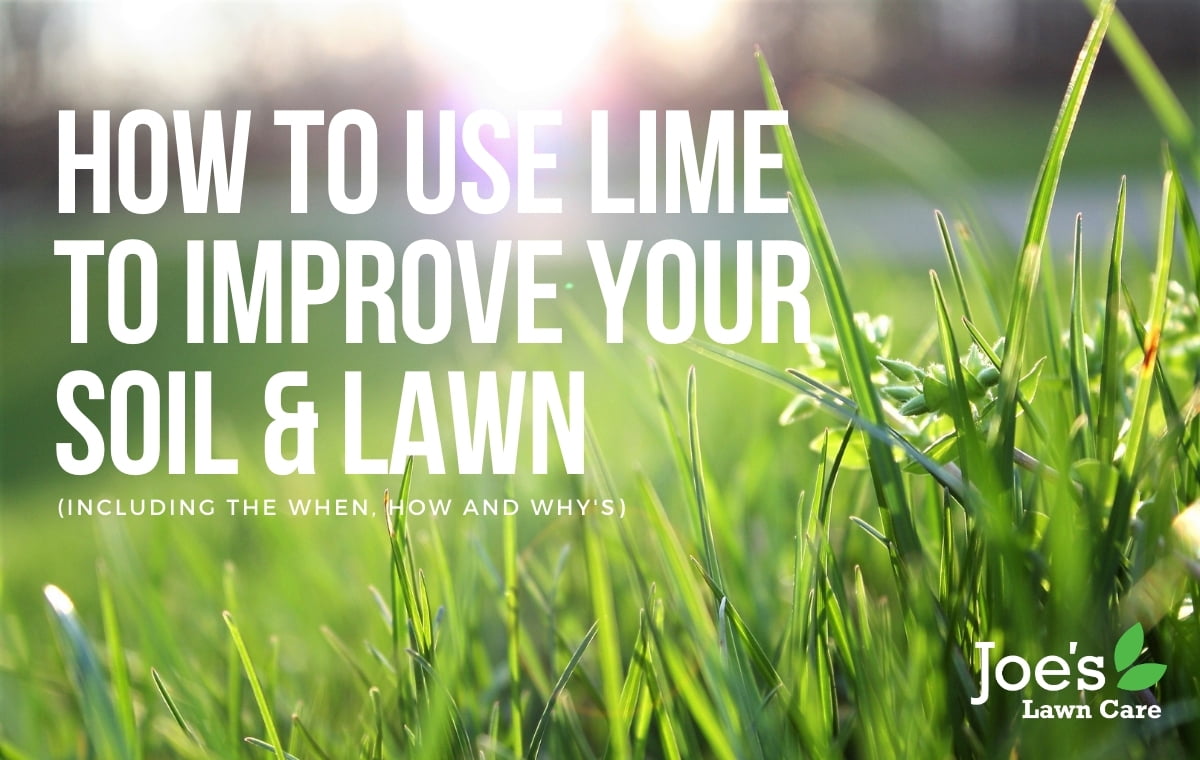 use lime to improve your soil