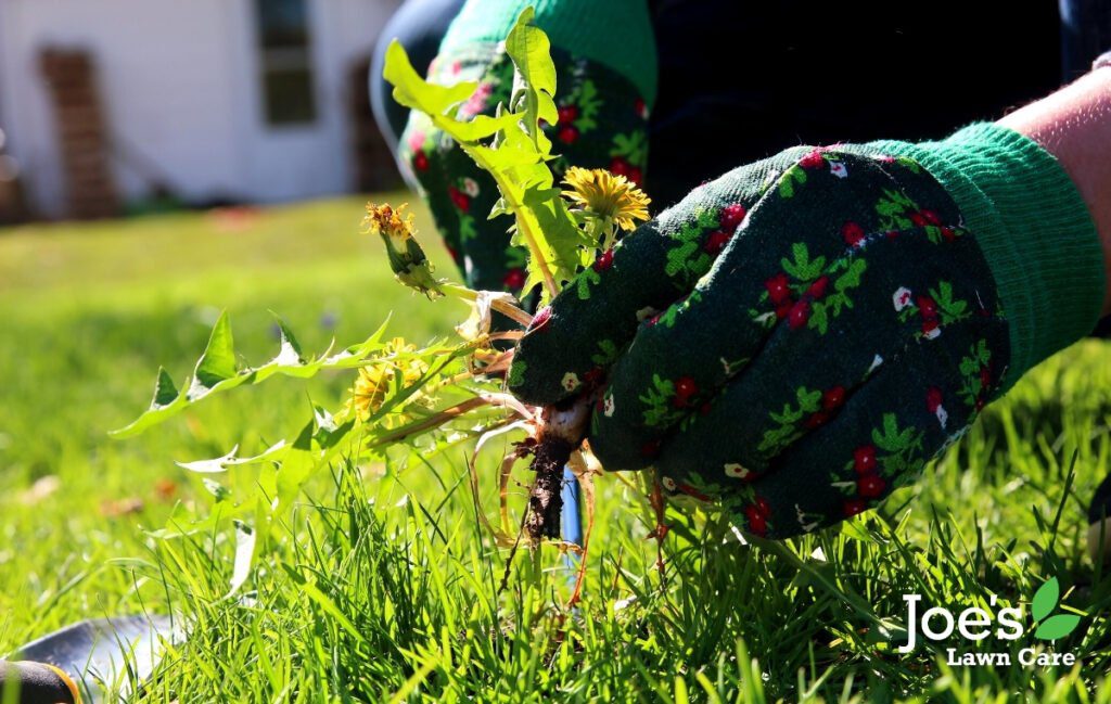 How To Use Lime To Improve Your Soil & Lawn Joe's Lawn Care