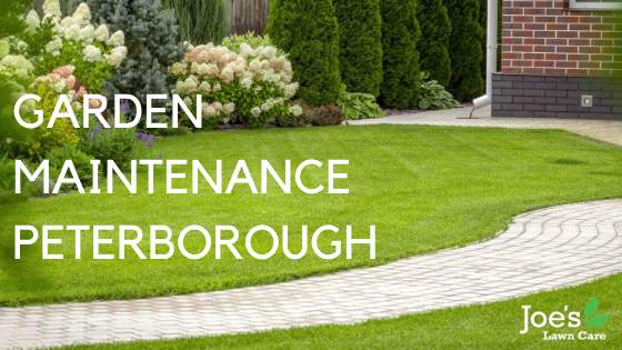 GARDEN MAINTENANCE PETERBOROUGH