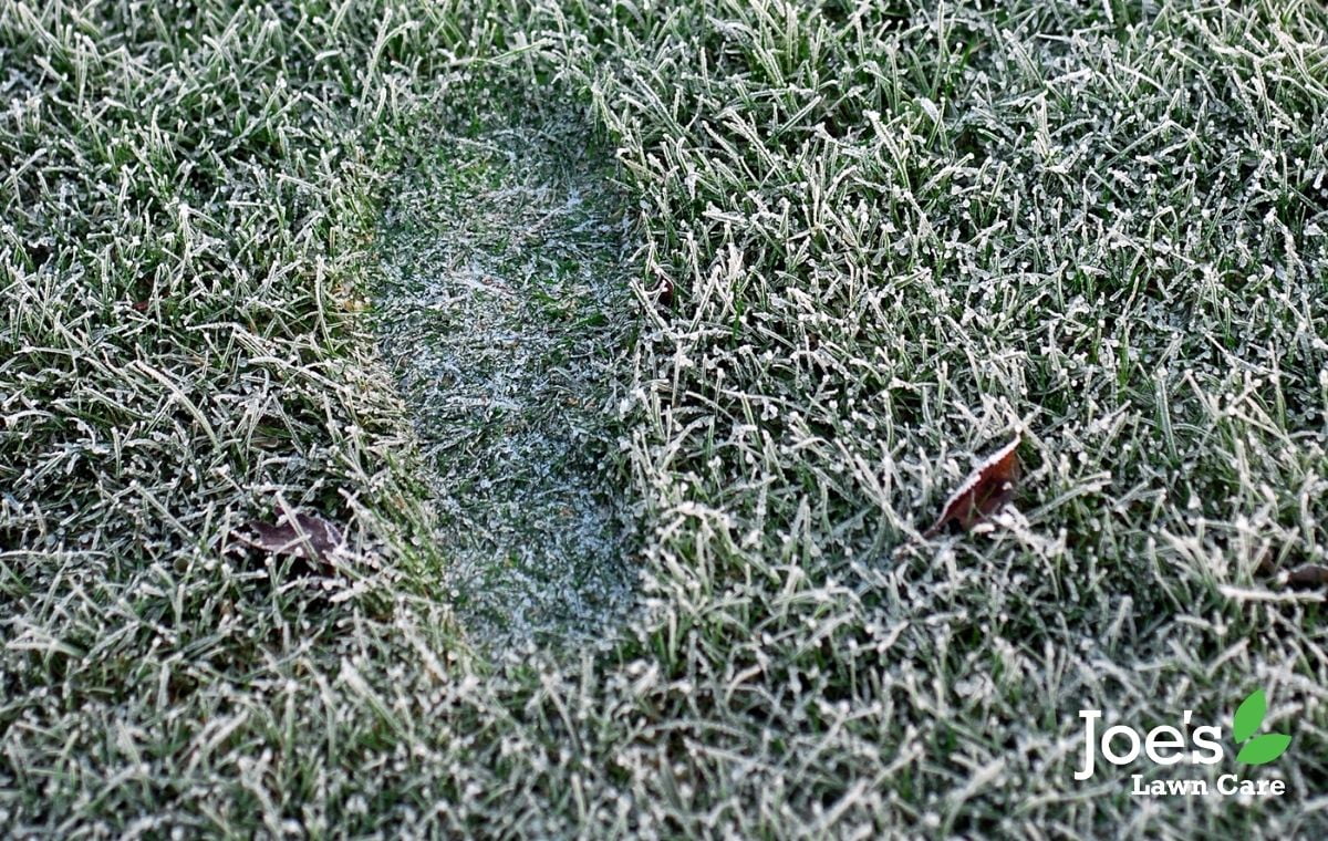 Frost on sale on grass