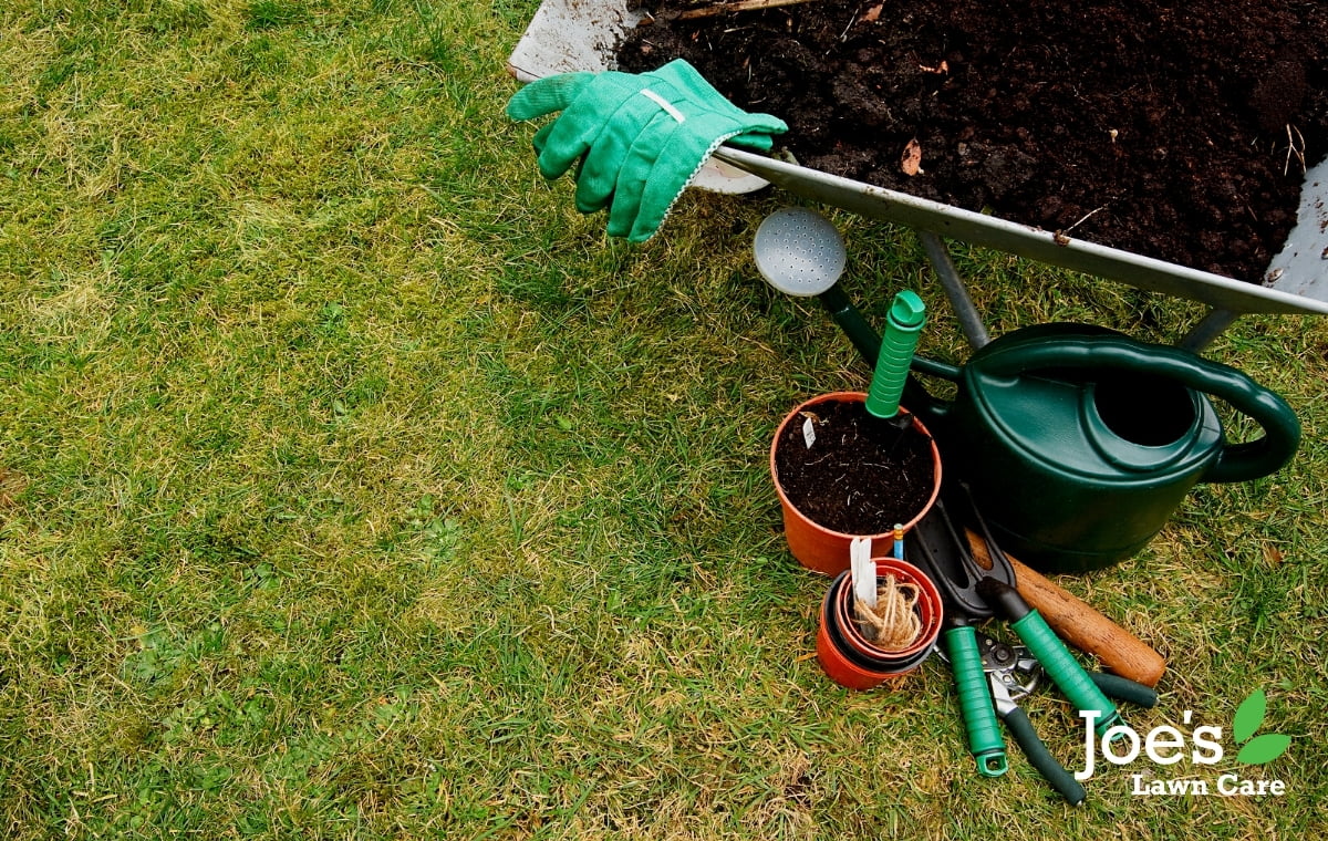 tidy up the garden