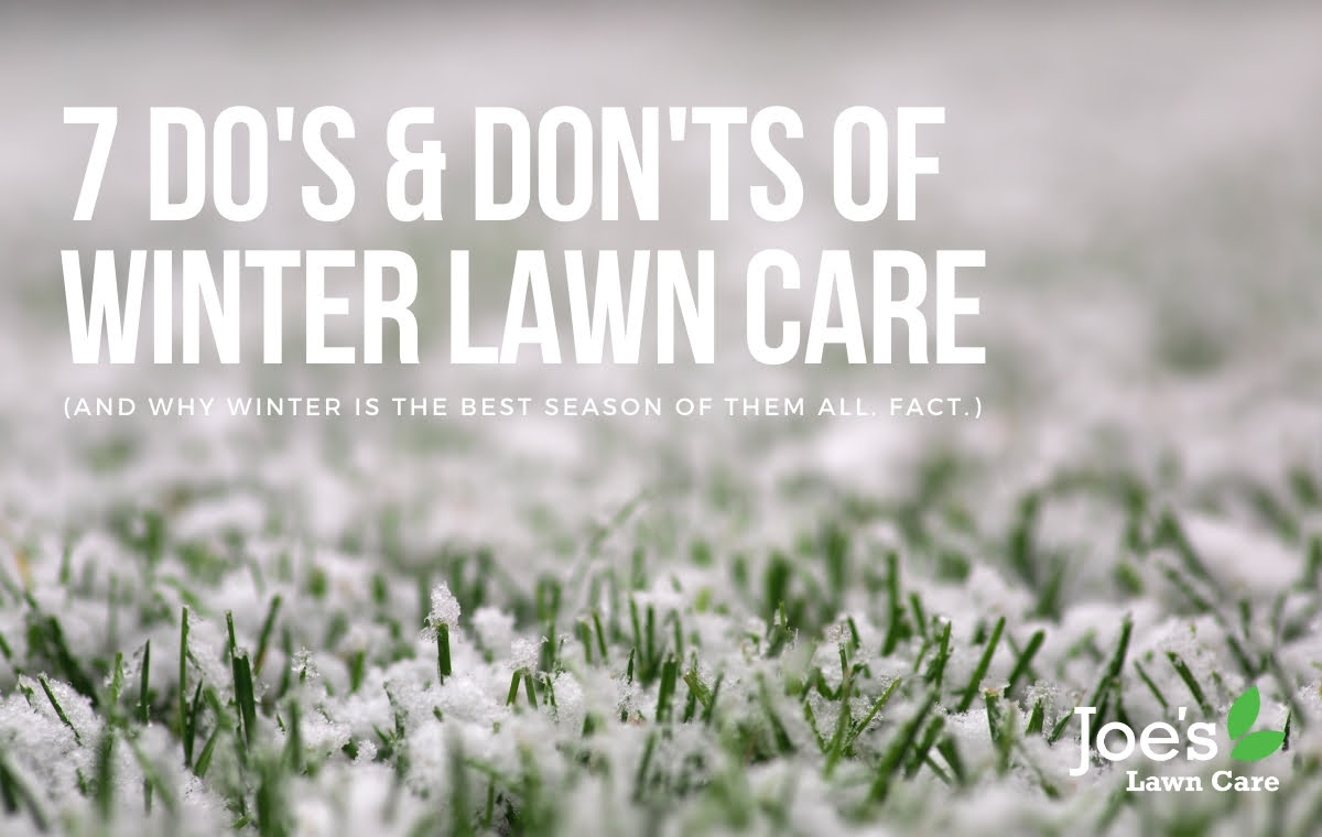 7 do's and don'ts of winter care