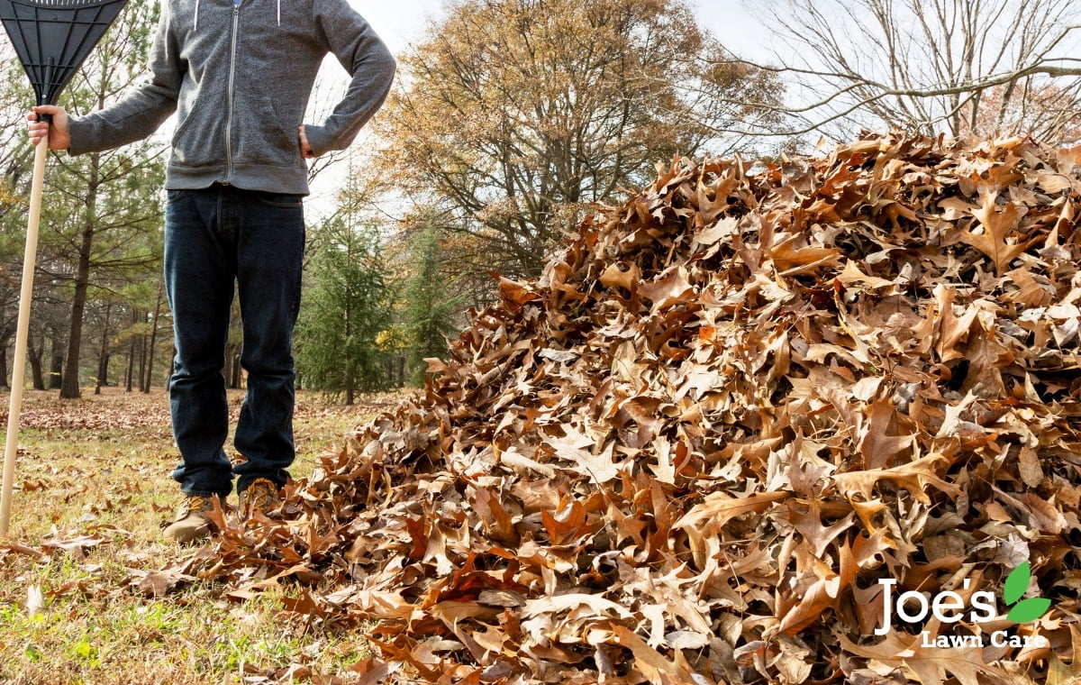 collecting leaves