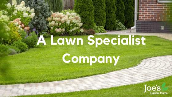 A Lawn Specialist Company