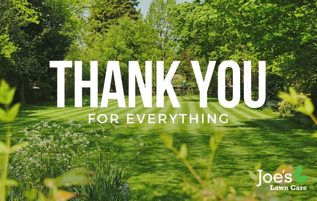 Thank you for everything