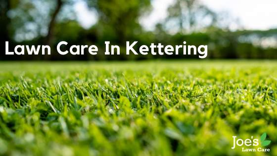 Lawn Care In Kettering