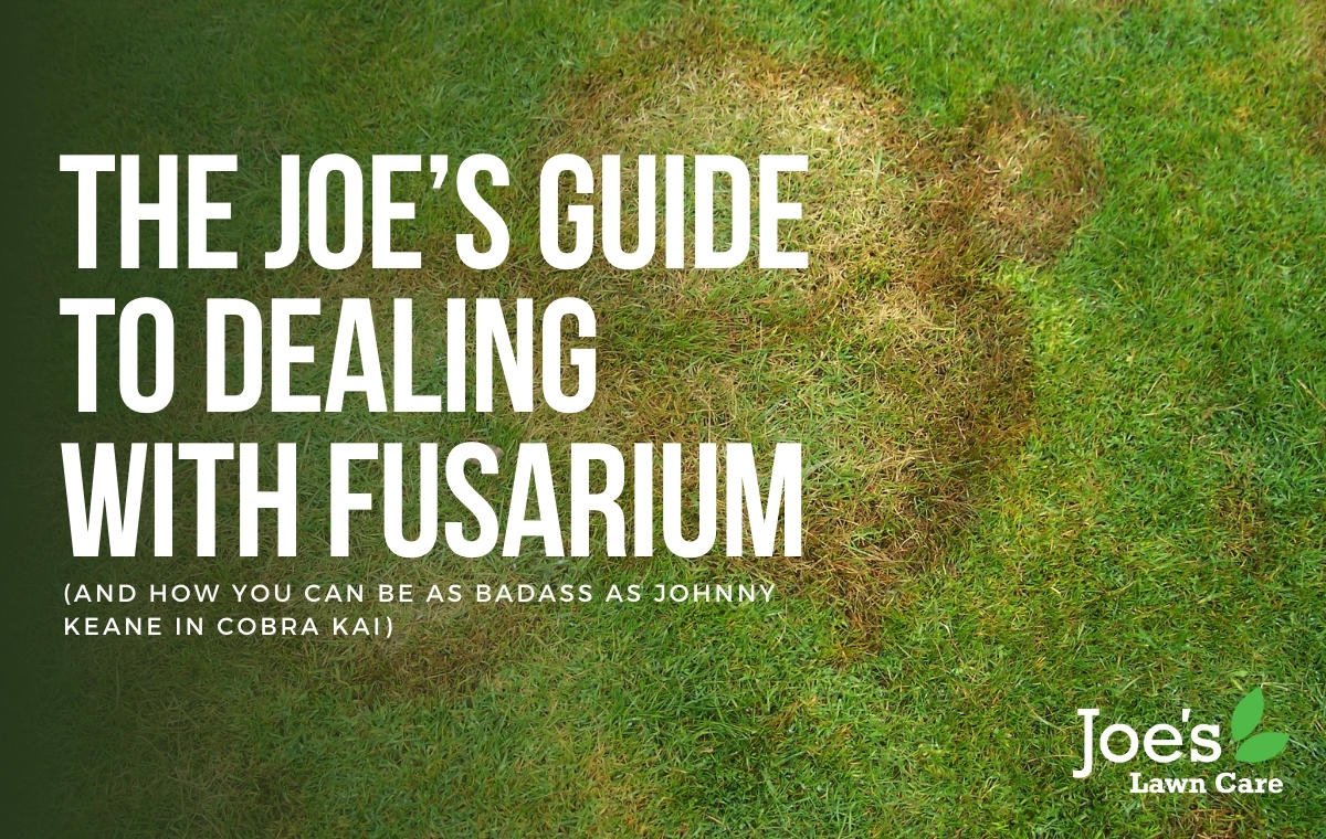 dealing with fusarium