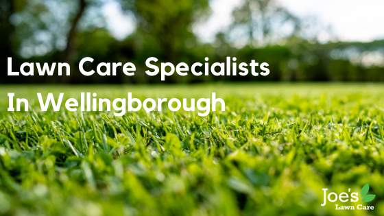 Lawn Care Specialists In Wellingborough