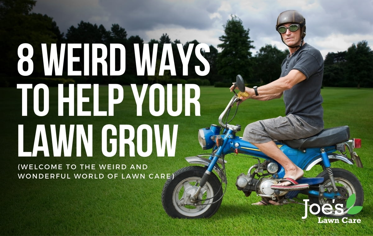 8 weird ways to help your lawn grow