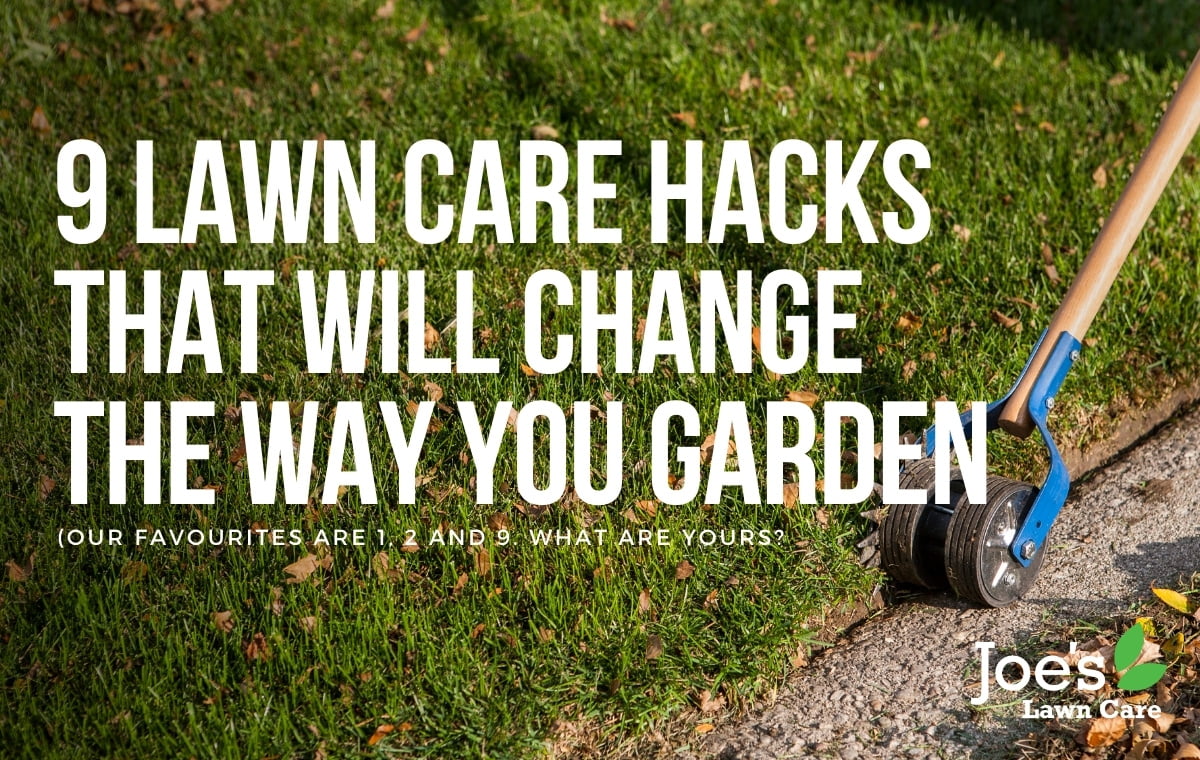 9 Lawn Care hacks that will change the way you garden - Joe's Lawn Care