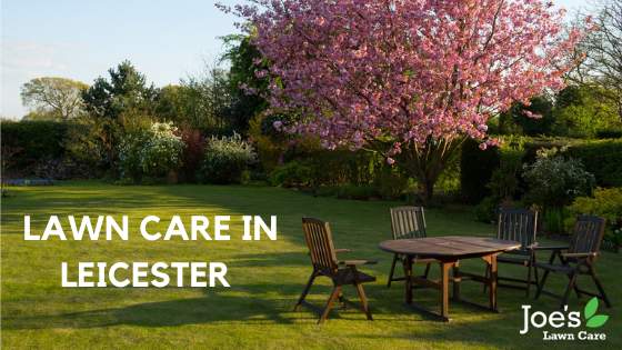 Lawn Care In Leicester