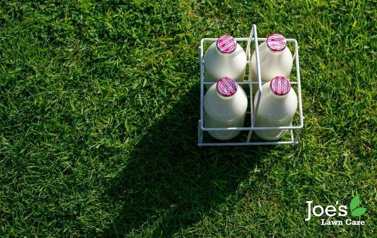 Milk bottle watering can