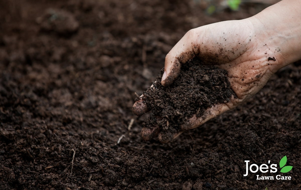 pH levels of your soil